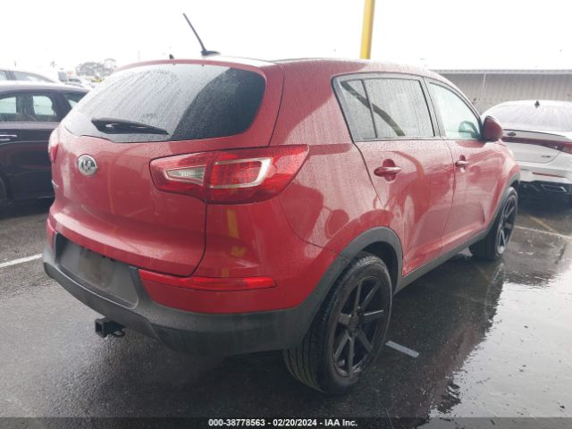 Photo 3 VIN: KNDPB3A29D7423585 - KIA SPORTAGE 