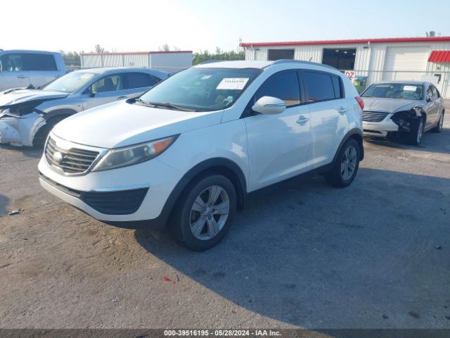 Photo 1 VIN: KNDPB3A29D7437163 - KIA SPORTAGE 