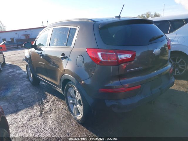 Photo 2 VIN: KNDPB3A29D7510788 - KIA SPORTAGE 