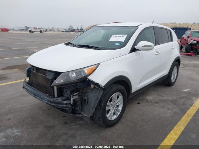 Photo 1 VIN: KNDPB3A2XB7015402 - KIA SPORTAGE 