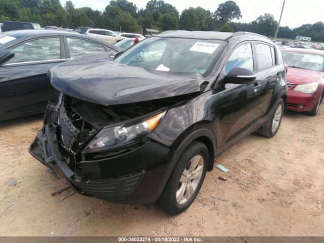 Photo 1 VIN: KNDPB3A2XB7024357 - KIA SPORTAGE 