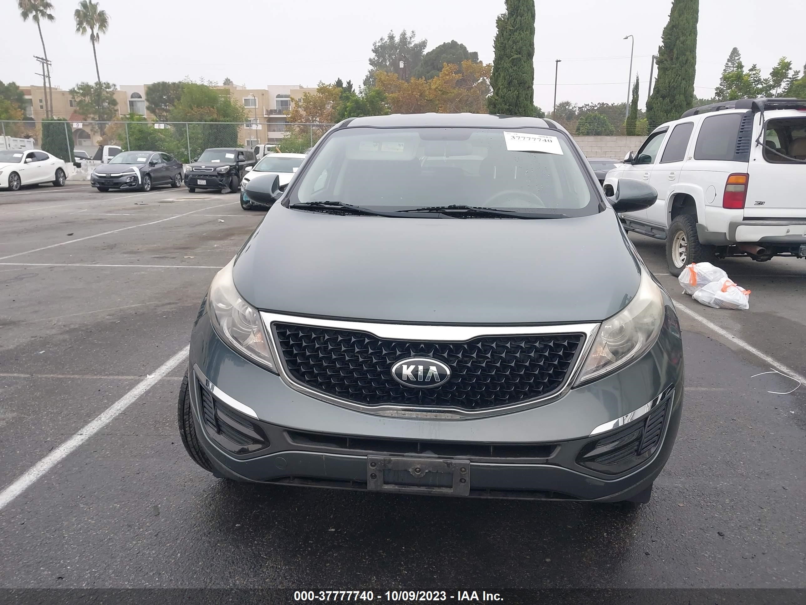 Photo 11 VIN: KNDPB3AC0E7650061 - KIA SPORTAGE 