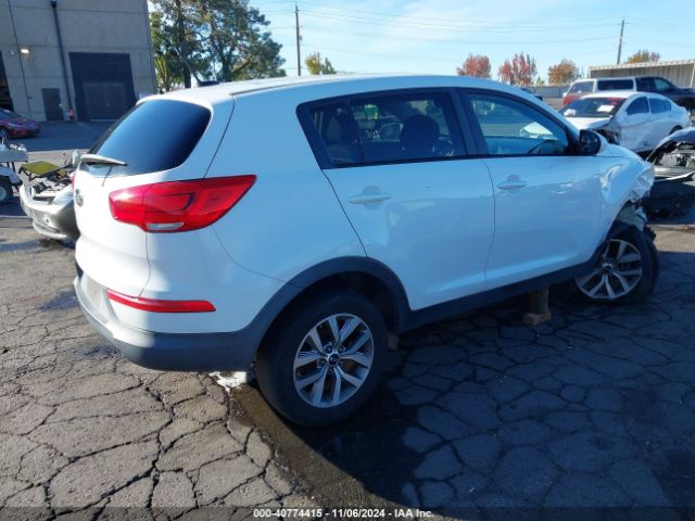 Photo 3 VIN: KNDPB3AC0G7800544 - KIA SPORTAGE 