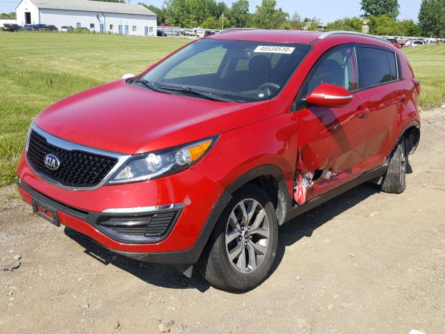 Photo 1 VIN: KNDPB3AC1E7608823 - KIA SPORTAGE 