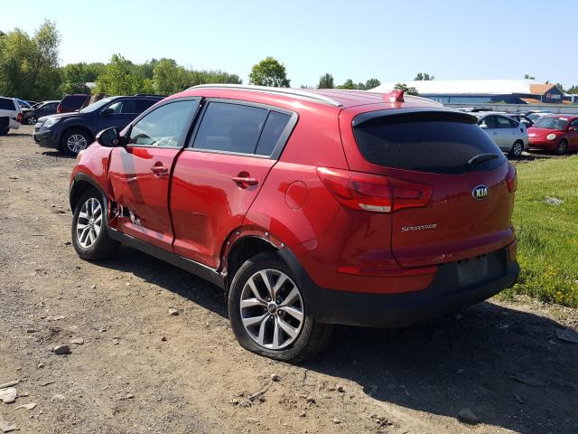 Photo 2 VIN: KNDPB3AC1E7608823 - KIA SPORTAGE 