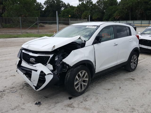 Photo 1 VIN: KNDPB3AC1E7612550 - KIA SPORTAGE 