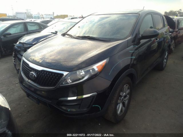 Photo 1 VIN: KNDPB3AC1E7655155 - KIA SPORTAGE 