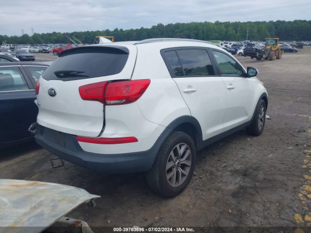 Photo 3 VIN: KNDPB3AC2F7737381 - KIA SPORTAGE 