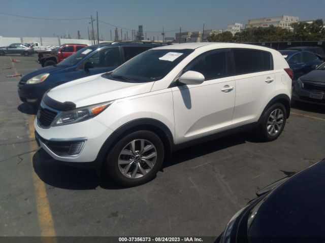 Photo 1 VIN: KNDPB3AC2F7743181 - KIA SPORTAGE 