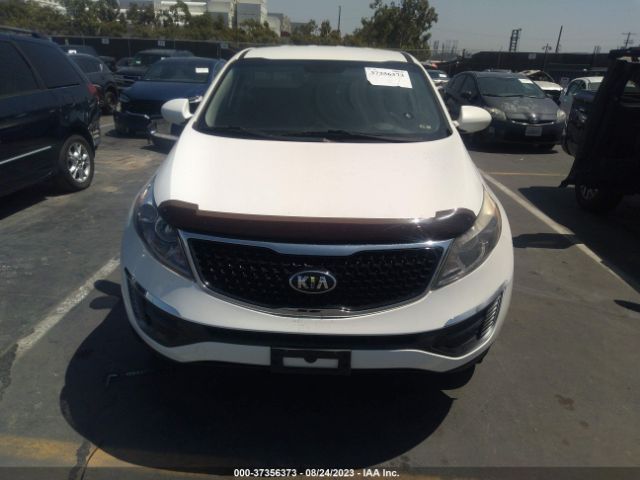 Photo 5 VIN: KNDPB3AC2F7743181 - KIA SPORTAGE 