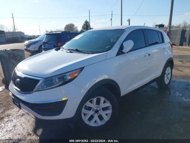 Photo 5 VIN: KNDPB3AC2G7804532 - KIA SPORTAGE 