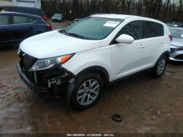 Photo 1 VIN: KNDPB3AC3G7854064 - KIA SPORTAGE 