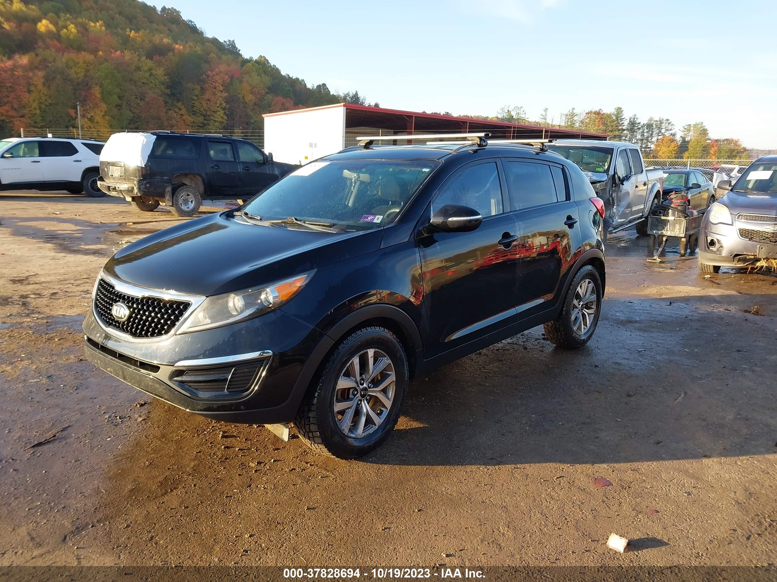 Photo 1 VIN: KNDPB3AC4E7607830 - KIA SPORTAGE 