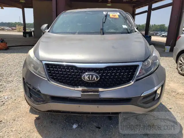 Photo 4 VIN: KNDPB3AC4G7818867 - KIA SPORTAGE 