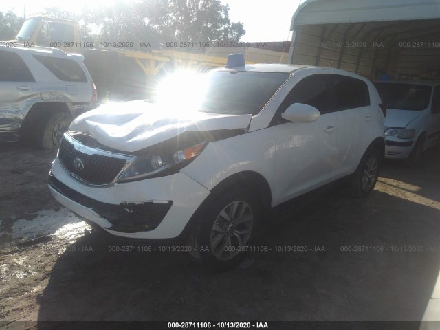 Photo 1 VIN: KNDPB3AC4G7824345 - KIA SPORTAGE 