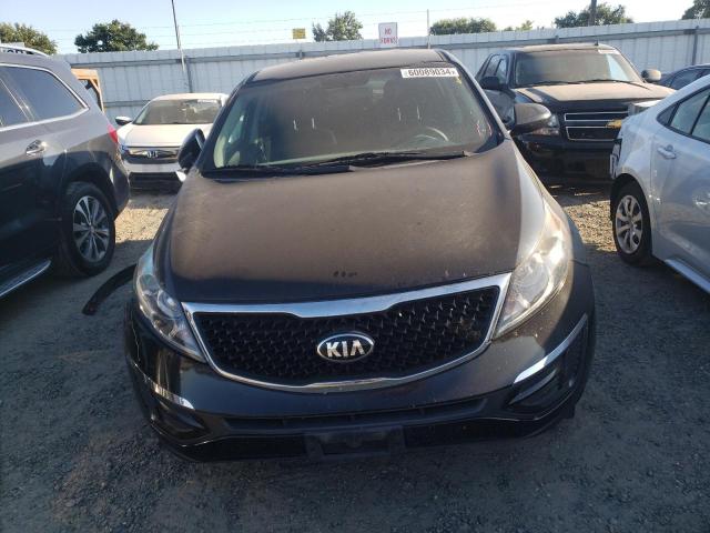 Photo 4 VIN: KNDPB3AC4G7873349 - KIA SPORTAGE 