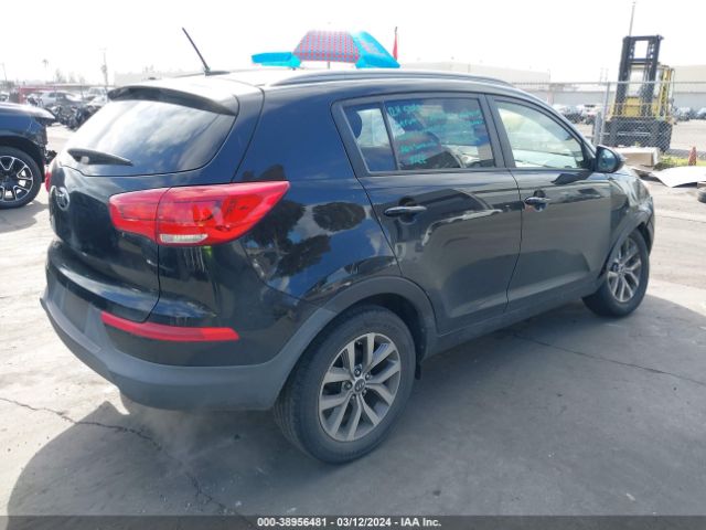 Photo 3 VIN: KNDPB3AC4G7875134 - KIA SPORTAGE 