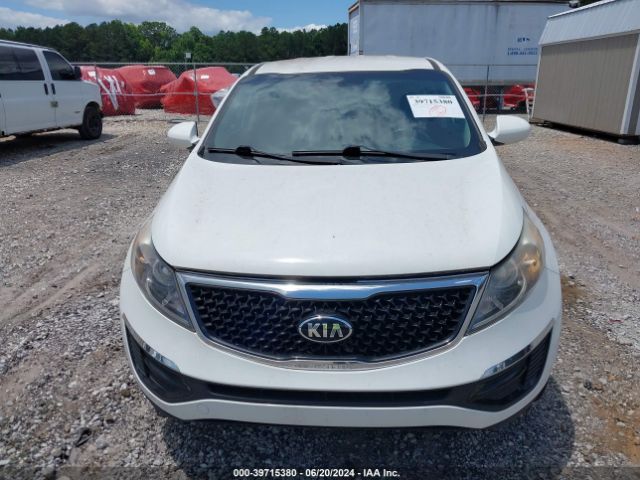 Photo 5 VIN: KNDPB3AC6G7836609 - KIA SPORTAGE 