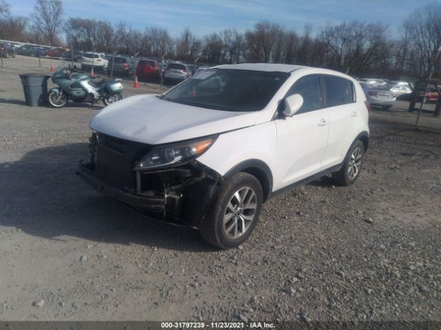 Photo 1 VIN: KNDPB3AC7E7669027 - KIA SPORTAGE 