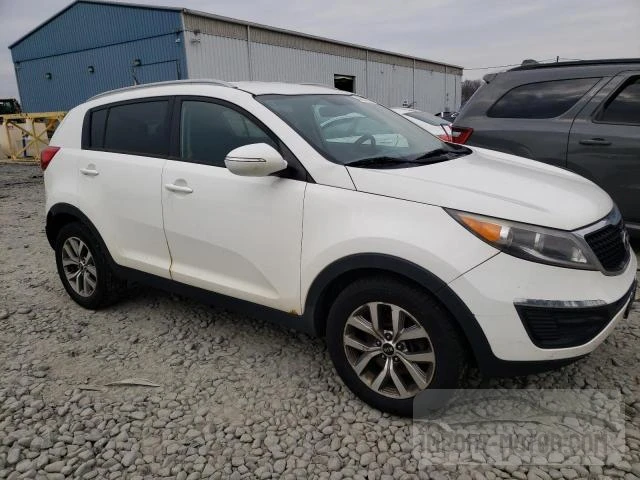 Photo 3 VIN: KNDPB3AC7F7737778 - KIA SPORTAGE 