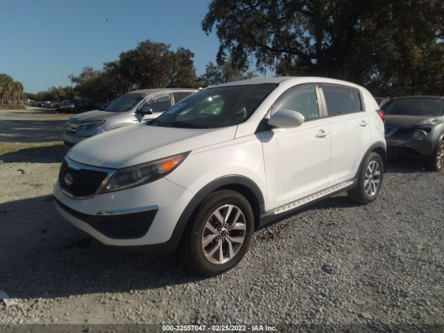 Photo 1 VIN: KNDPB3AC8E7641575 - KIA SPORTAGE 