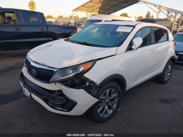 Photo 1 VIN: KNDPB3AC8F7731441 - KIA SPORTAGE 