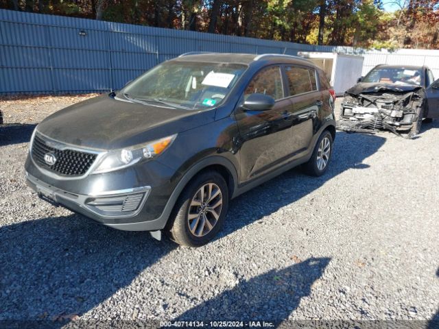 Photo 1 VIN: KNDPB3AC8G7874603 - KIA SPORTAGE 