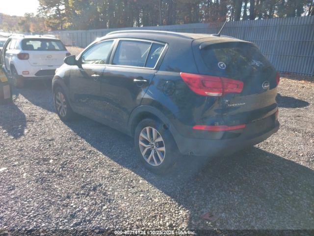 Photo 2 VIN: KNDPB3AC8G7874603 - KIA SPORTAGE 