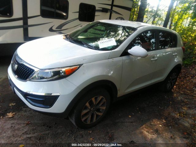 Photo 1 VIN: KNDPB3ACXE7666977 - KIA SPORTAGE 