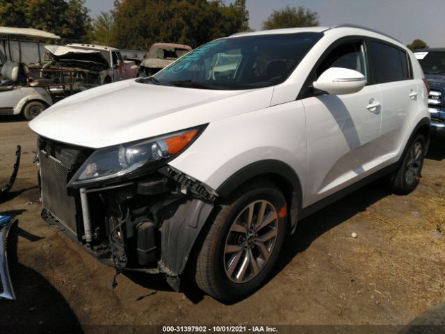 Photo 1 VIN: KNDPB3ACXF7709215 - KIA SPORTAGE 