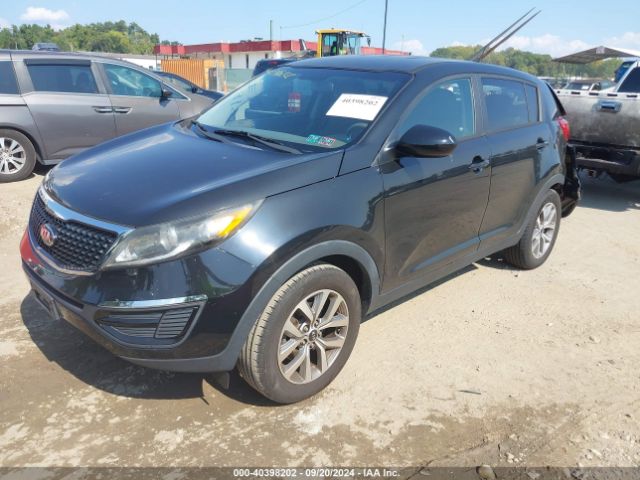 Photo 1 VIN: KNDPB3ACXG7810935 - KIA SPORTAGE 