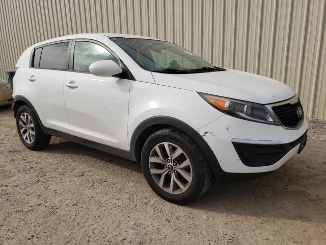 Photo 3 VIN: KNDPB3ACXG7820381 - KIA SPORTAGE 