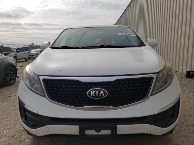 Photo 4 VIN: KNDPB3ACXG7820381 - KIA SPORTAGE 