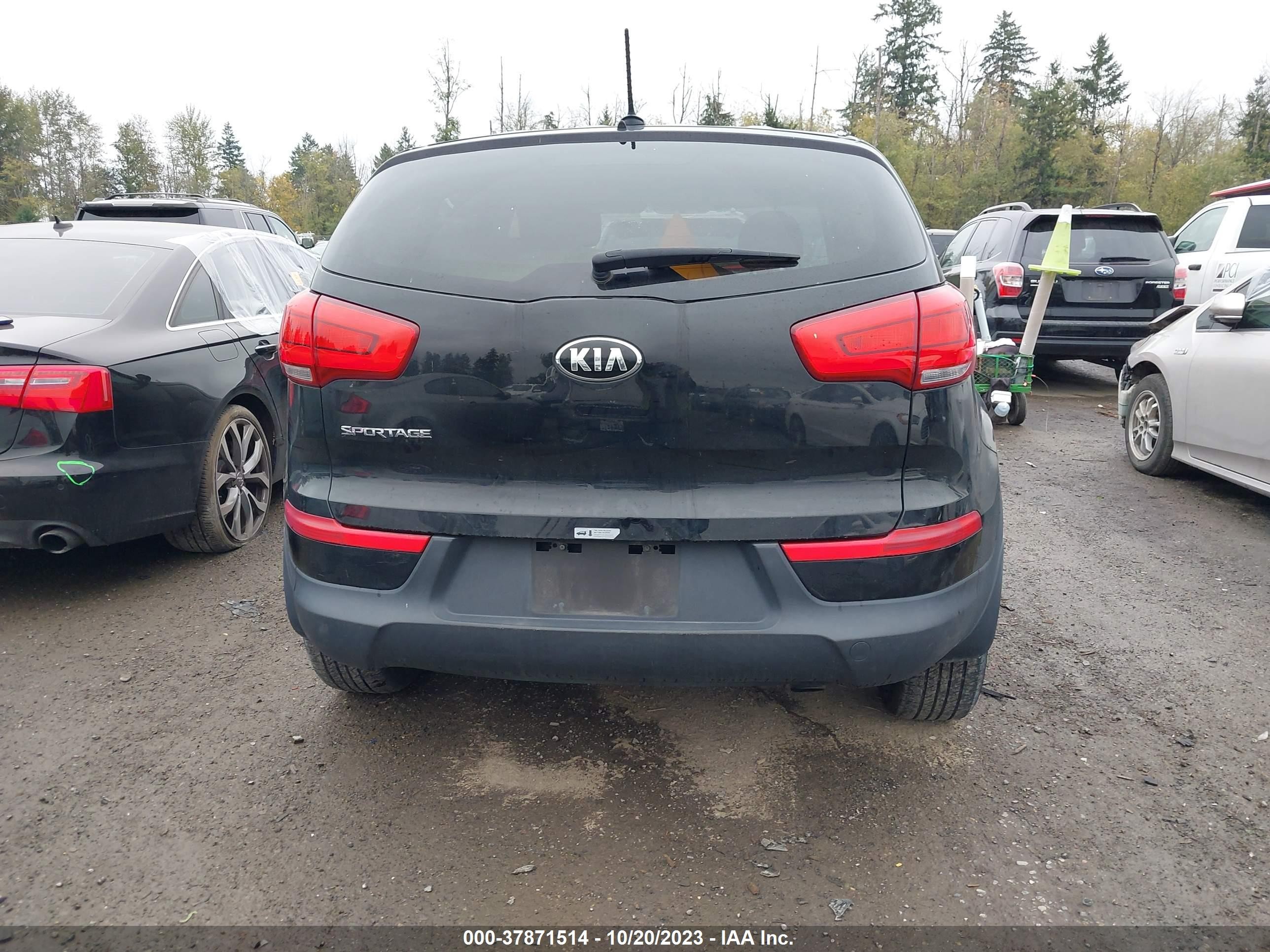 Photo 15 VIN: KNDPB3ACXG7841716 - KIA SPORTAGE 