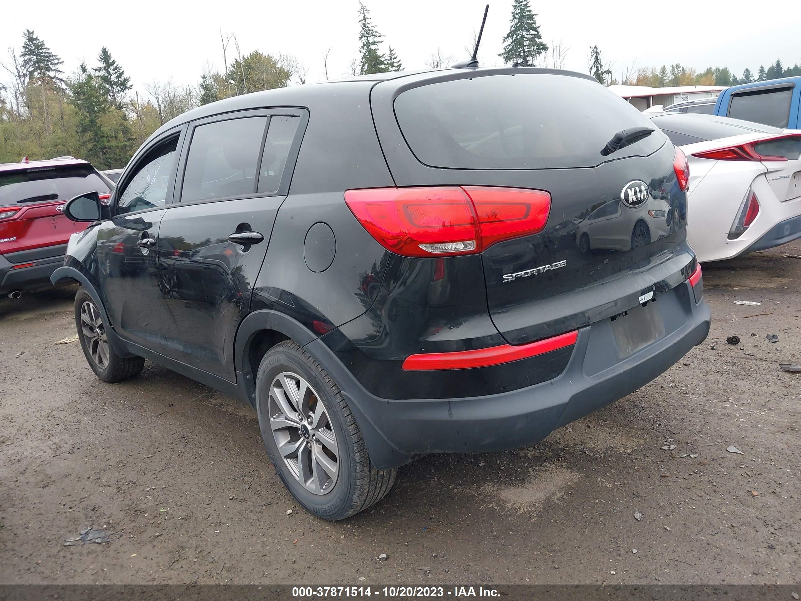 Photo 2 VIN: KNDPB3ACXG7841716 - KIA SPORTAGE 