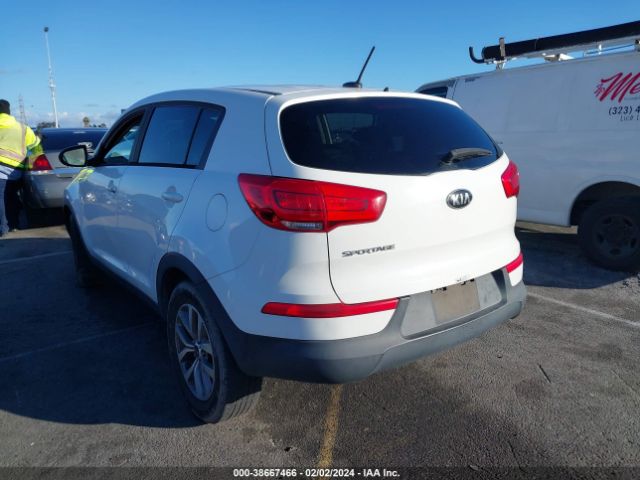 Photo 2 VIN: KNDPB3ACXG7846267 - KIA SPORTAGE 