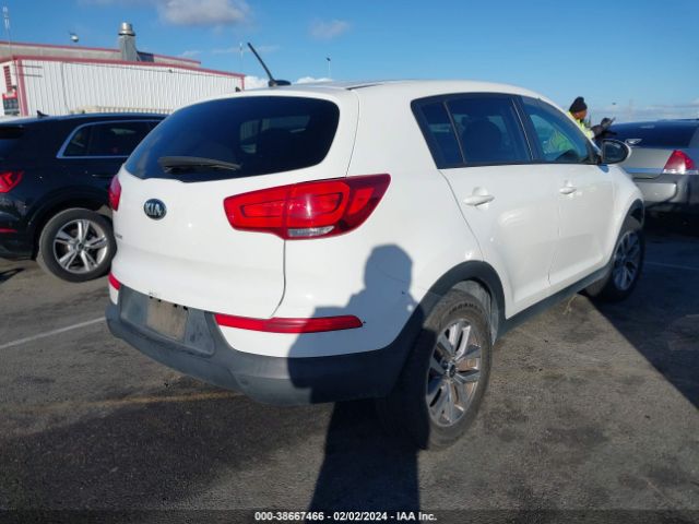 Photo 3 VIN: KNDPB3ACXG7846267 - KIA SPORTAGE 