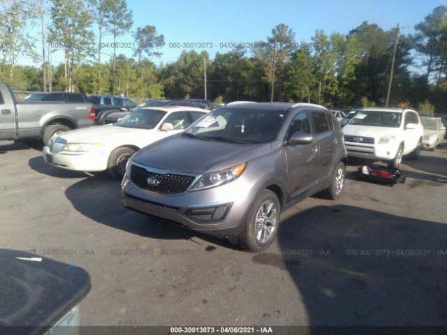 Photo 1 VIN: KNDPB3ACXG7855499 - KIA SPORTAGE 