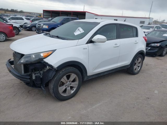 Photo 1 VIN: KNDPBCA20C7216971 - KIA SPORTAGE 