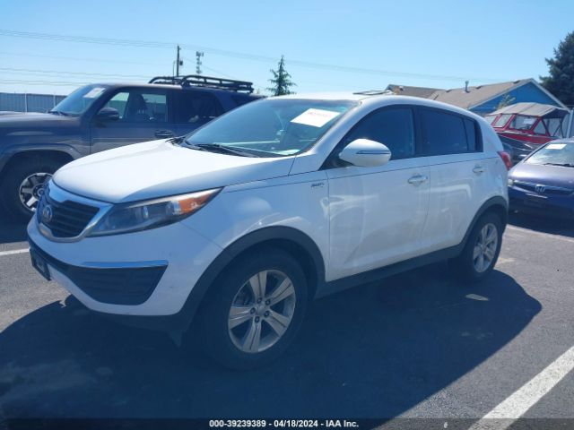 Photo 1 VIN: KNDPBCA20D7353474 - KIA SPORTAGE 