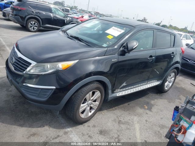 Photo 1 VIN: KNDPBCA21D7412497 - KIA SPORTAGE 