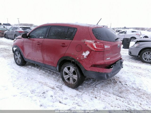 Photo 2 VIN: KNDPBCA21D7466981 - KIA SPORTAGE 