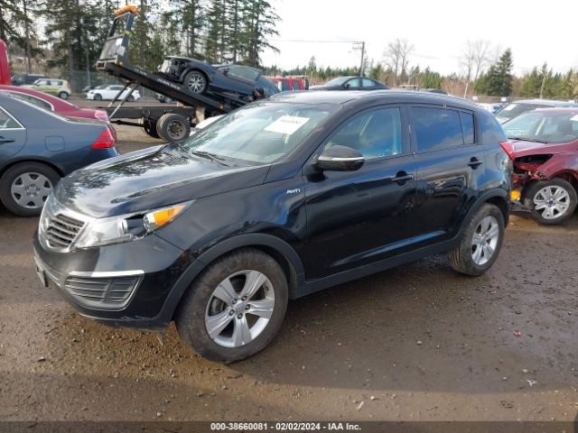 Photo 1 VIN: KNDPBCA22B7081779 - KIA SPORTAGE 