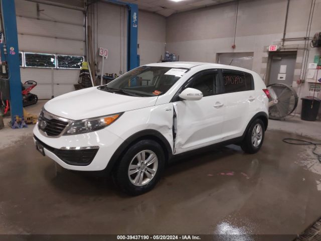 Photo 1 VIN: KNDPBCA22B7100668 - KIA SPORTAGE 