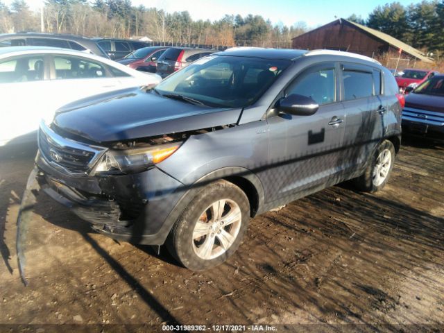 Photo 1 VIN: KNDPBCA22B7141799 - KIA SPORTAGE 