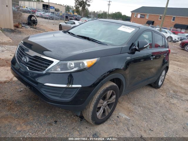 Photo 1 VIN: KNDPBCA22D7475169 - KIA SPORTAGE 