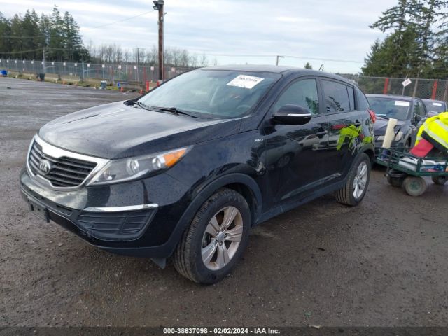 Photo 1 VIN: KNDPBCA23D7355767 - KIA SPORTAGE 