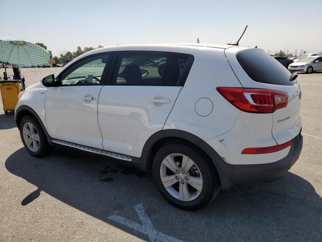 Photo 1 VIN: KNDPBCA23D7449907 - KIA SPORTAGE 