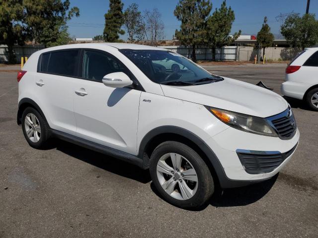 Photo 3 VIN: KNDPBCA23D7449907 - KIA SPORTAGE 