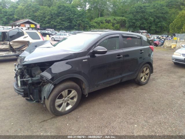 Photo 1 VIN: KNDPBCA23D7510432 - KIA SPORTAGE 